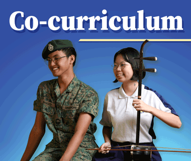 curriculum